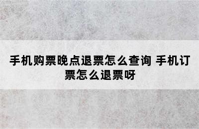 手机购票晚点退票怎么查询 手机订票怎么退票呀